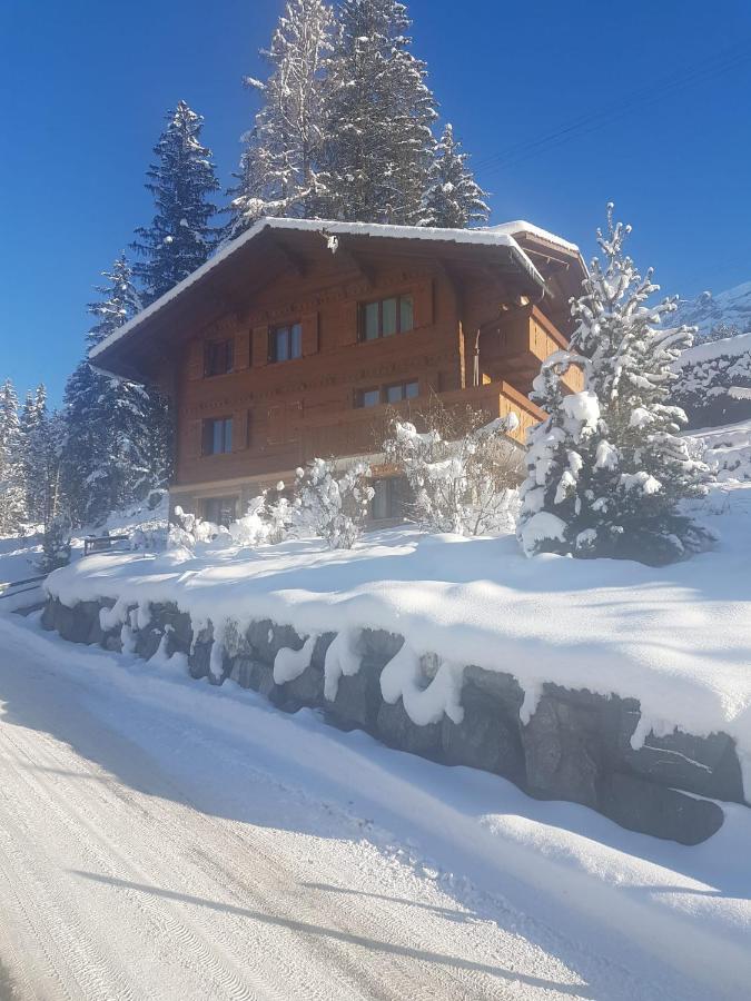 Chalet Grueneggli Adelboden Exteriör bild