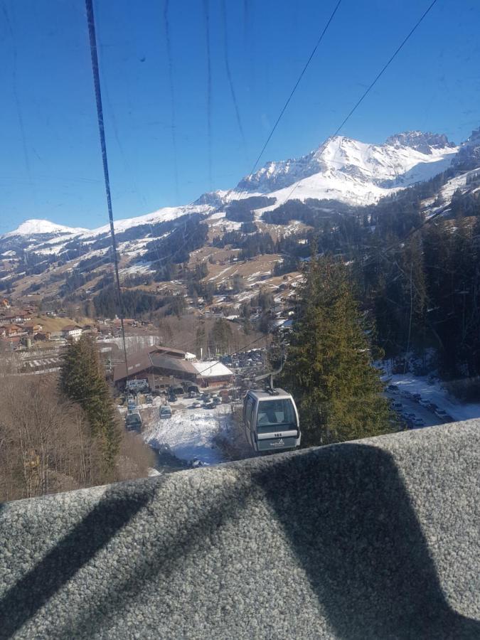 Chalet Grueneggli Adelboden Exteriör bild