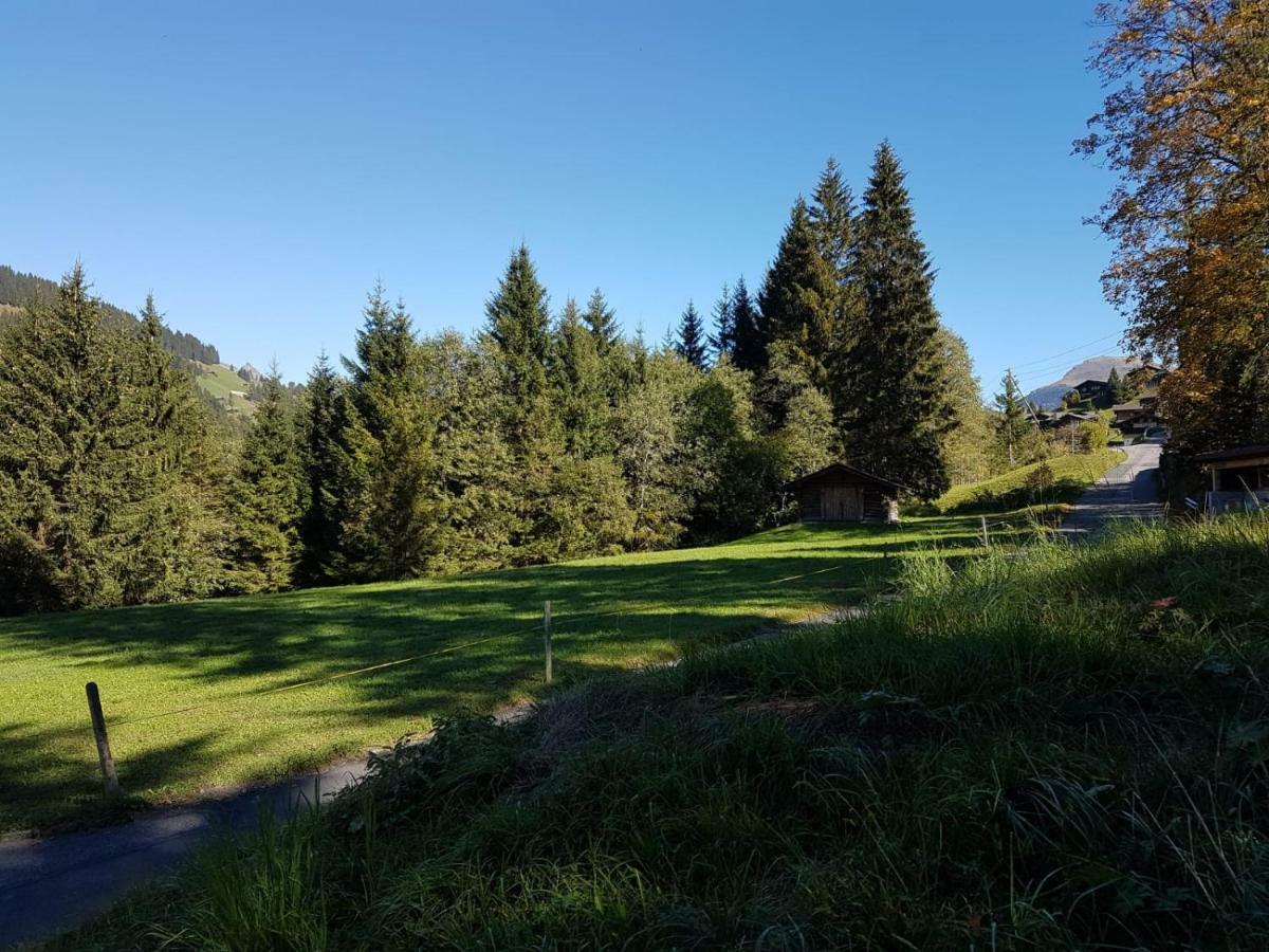 Chalet Grueneggli Adelboden Exteriör bild